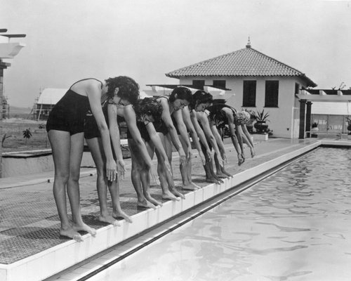 woman swimmer athlete competition